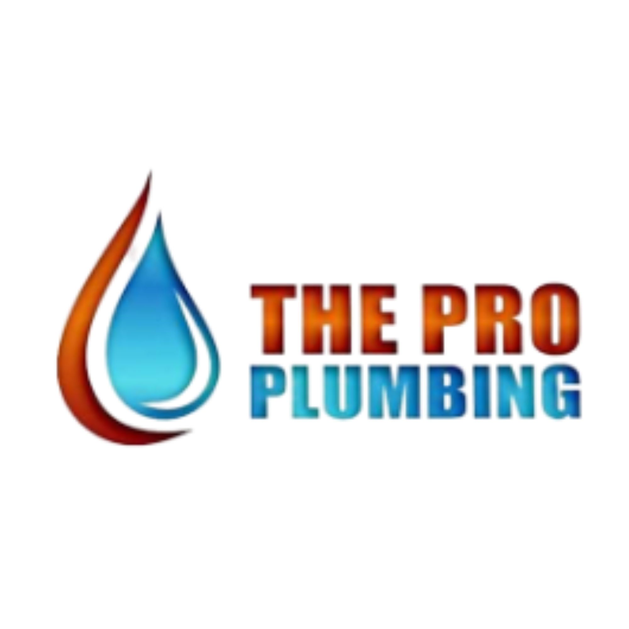 The Pro Plumbing